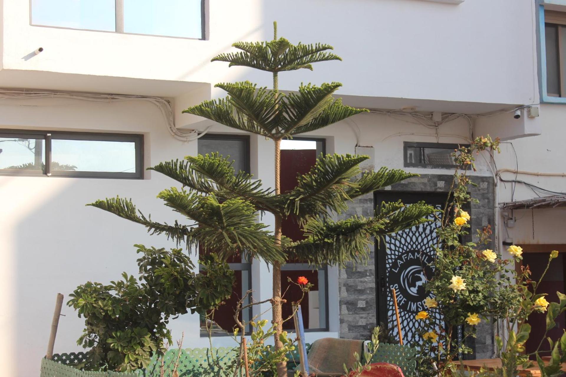Lafamilia Surf Imsouane Hotel Buitenkant foto